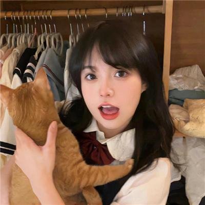 猫行东方